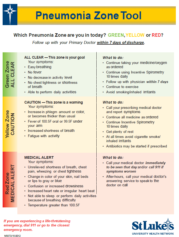 Figure 2 Pneumonia Zone Tool